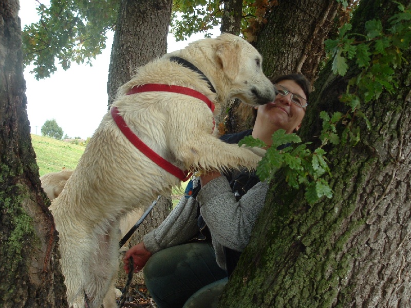 Chipie des Prairies de Lagarde