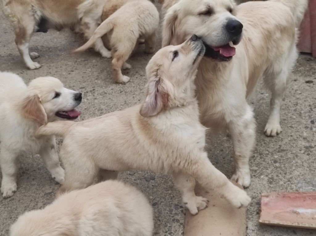 des Prairies de Lagarde - Les naissances en 2026